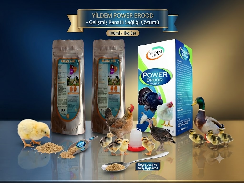 YILSAC E-SEL + C + 100 gr X 2 Adet +Power Brood  100 ml (Kuş ve Kanatlılar İçin Vitamin Takviyesi )